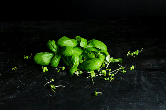 Basil Spice Olive Oil Infusion