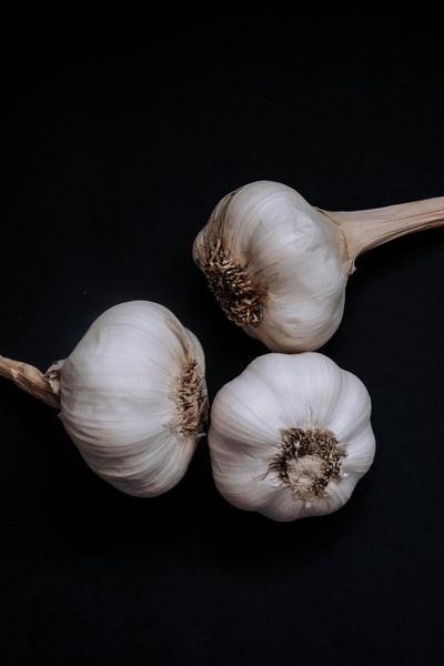 Garlic Olive Oil Infusion
