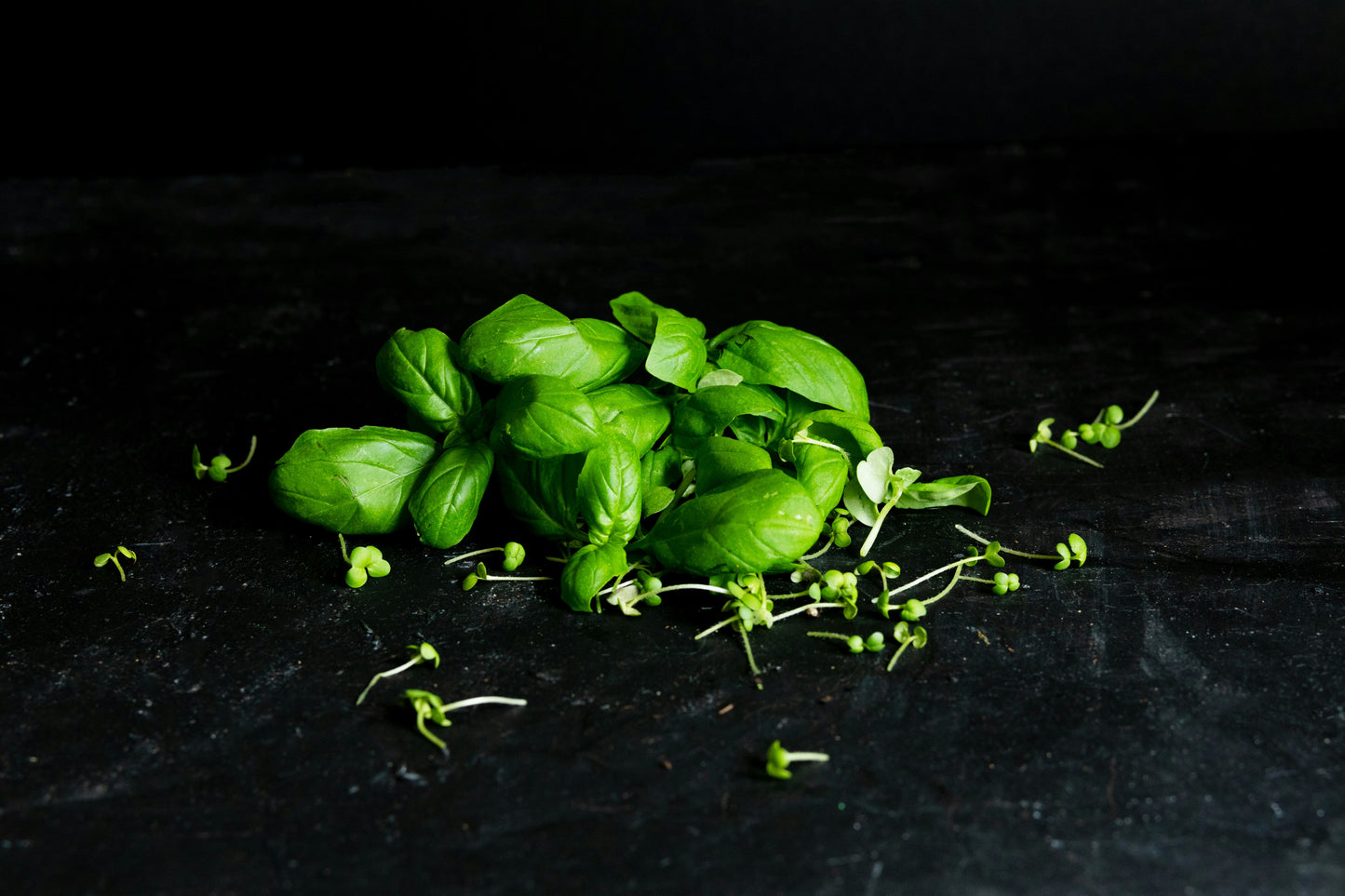 Basil Spice Olive Oil Infusion