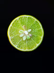 Wild Lime Olive Oil Infusion