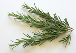Rosemary Olive Oil Infusion